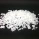 SnowBiz-regular-1.jpg